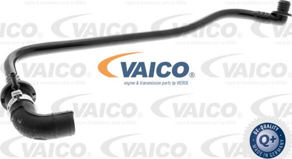 VAICO V10-3651 - Шланг разрежения, тормозная система autosila-amz.com