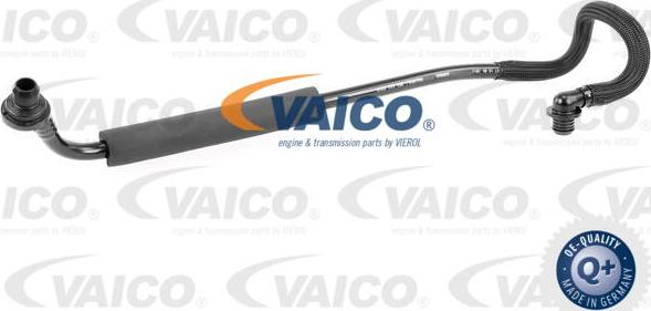 VAICO V10-3667 - Шланг разрежения, тормозная система autosila-amz.com