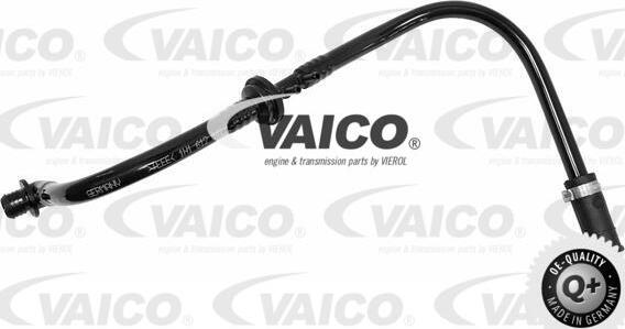 VAICO V10-3600 - Шланг разрежения, тормозная система autosila-amz.com