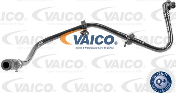 VAICO V10-3607 - Шланг разрежения, тормозная система autosila-amz.com
