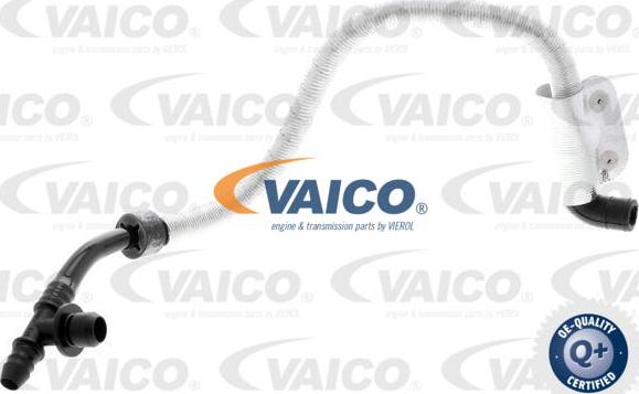 VAICO V10-3616 - Шланг разрежения, тормозная система autosila-amz.com