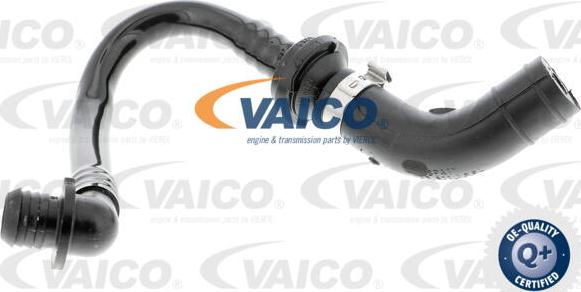 VAICO V10-3612 - Шланг разрежения, тормозная система autosila-amz.com