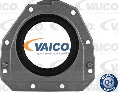 VAICO V10-3685 - Уплотняющее кольцо, коленчатый вал autosila-amz.com