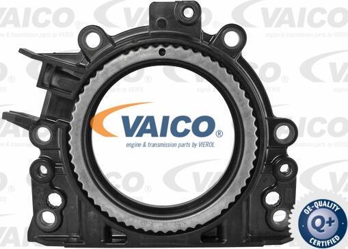 VAICO V10-3680 - Уплотняющее кольцо, коленчатый вал autosila-amz.com