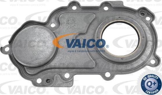 VAICO V10-3681 - Уплотняющее кольцо, коленчатый вал autosila-amz.com