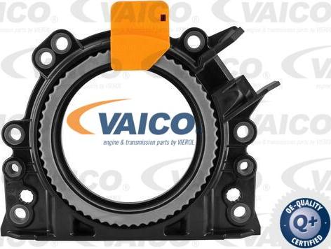 VAICO V10-3683 - Уплотняющее кольцо, коленчатый вал autosila-amz.com