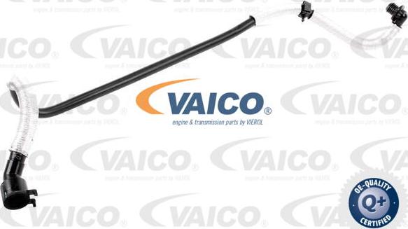 VAICO V10-3636 - Шланг разрежения, тормозная система autosila-amz.com