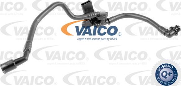 VAICO V10-3629 - Шланг разрежения, тормозная система autosila-amz.com