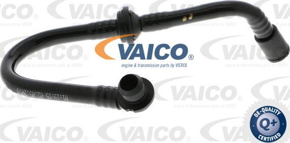 VAICO V10-3620 - Шланг разрежения, тормозная система autosila-amz.com
