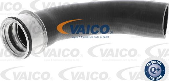 VAICO V10-3802 - Трубка, нагнетание воздуха autosila-amz.com