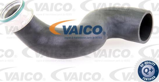 VAICO V10-3825 - Трубка, нагнетание воздуха autosila-amz.com