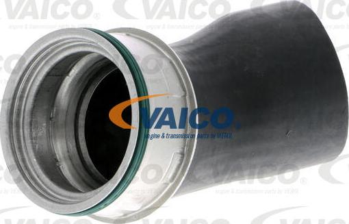 VAICO V10-3820 - Трубка, нагнетание воздуха autosila-amz.com