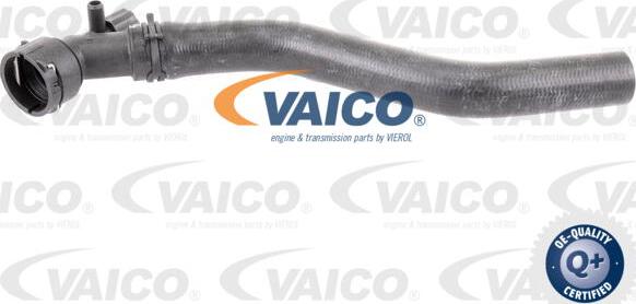 VAICO V10-3205 - Шланг радиатора autosila-amz.com