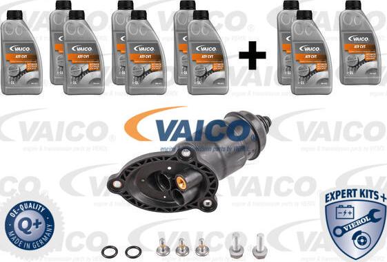 VAICO V10-3231-XXL - Комплект деталей, смена масла - автоматическая коробка передач autosila-amz.com