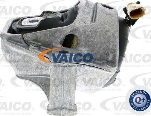 VAICO V10-3755 - Подушка, опора, подвеска двигателя autosila-amz.com