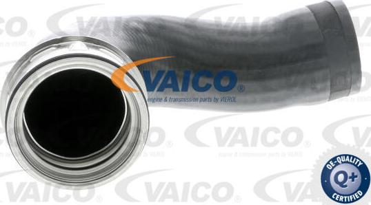 VAICO V10-3768 - Трубка, нагнетание воздуха autosila-amz.com