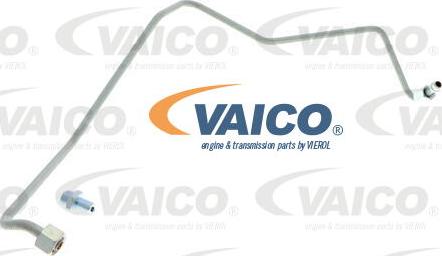 VAICO V10-3733 - Трубка, маслопровод компрессора autosila-amz.com