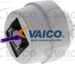 VAICO V10-2960 - Подушка, опора, подвеска двигателя autosila-amz.com