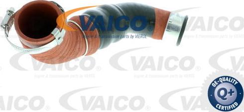 VAICO V10-2919 - Трубка, нагнетание воздуха autosila-amz.com