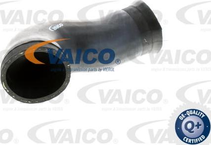 VAICO V10-2924 - Трубка, нагнетание воздуха autosila-amz.com