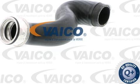 VAICO V10-2922 - Трубка, нагнетание воздуха autosila-amz.com