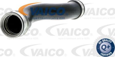 VAICO V10-2698 - Трубка, нагнетание воздуха autosila-amz.com