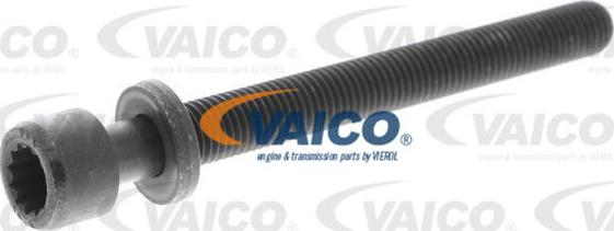 VAICO V10-2008 - Болт головки цилиндра autosila-amz.com
