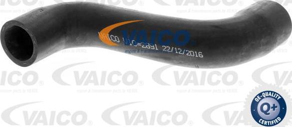 VAICO V10-2891 - Трубка, нагнетание воздуха autosila-amz.com