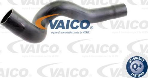 VAICO V10-2840 - Трубка, нагнетание воздуха autosila-amz.com