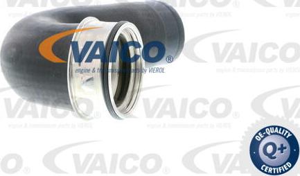 VAICO V10-2864 - Трубка, нагнетание воздуха autosila-amz.com