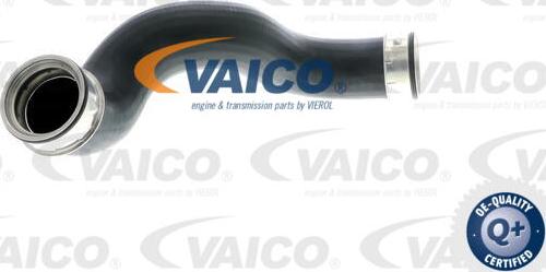VAICO V10-5301 - Трубка, нагнетание воздуха autosila-amz.com