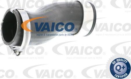 VAICO V10-2836 - Трубка, нагнетание воздуха autosila-amz.com