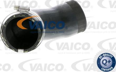 VAICO V10-2831 - Трубка, нагнетание воздуха autosila-amz.com