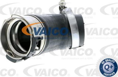 VAICO V10-2832 - Трубка, нагнетание воздуха autosila-amz.com