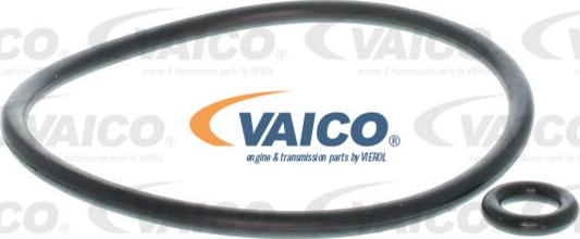 VAICO V10-2825 - фильтр масляный Audi A3, VW Golf/Passat, Skoda Octavia, Seat Leon 1.6-2.0TDi 12> autosila-amz.com