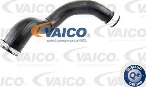 VAICO V10-2879 - Трубка, нагнетание воздуха autosila-amz.com
