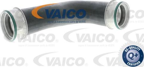VAICO V10-5309 - Трубка, нагнетание воздуха autosila-amz.com