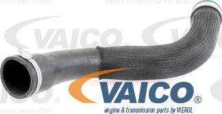 VAICO V10-2878 - Трубка, нагнетание воздуха autosila-amz.com