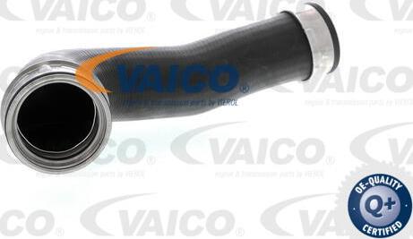 VAICO V10-2700 - Трубка, нагнетание воздуха autosila-amz.com