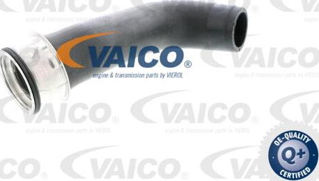 VAICO V10-2703 - Трубка, нагнетание воздуха autosila-amz.com