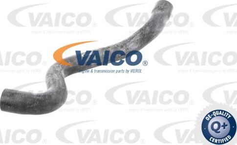 VAICO V10-2730 - Шланг радиатора autosila-amz.com