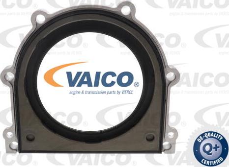 VAICO V30-6142 - Уплотняющее кольцо, коленчатый вал autosila-amz.com