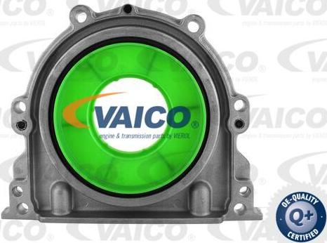VAICO V30-6142 - Уплотняющее кольцо, коленчатый вал autosila-amz.com