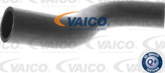 VAICO V30-0701 - Шланг радиатора autosila-amz.com