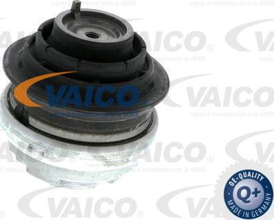 VAICO V30-1113-1 - Подушка, опора, подвеска двигателя autosila-amz.com