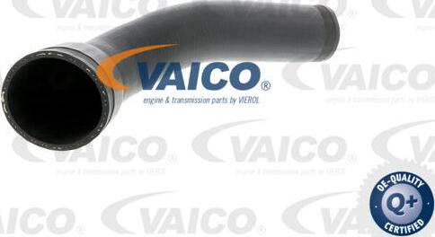 VAICO V30-1796 - Трубка, нагнетание воздуха autosila-amz.com