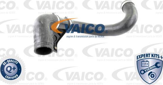 VAICO V30-2420 - Трубка, нагнетание воздуха autosila-amz.com