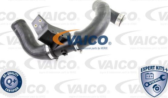 VAICO V30-2421 - Трубка, нагнетание воздуха autosila-amz.com