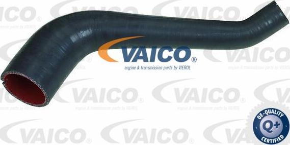 VAICO V24-0691 - Трубка, нагнетание воздуха autosila-amz.com