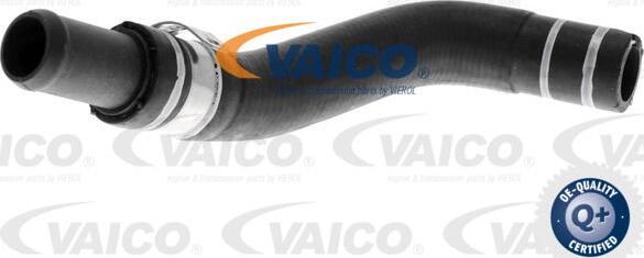 VAICO V24-0805 - Шланг радиатора autosila-amz.com